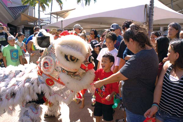 Chinese New Year Festival • Sunday